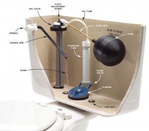Toilet Inside diagram