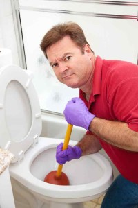 toilet repair